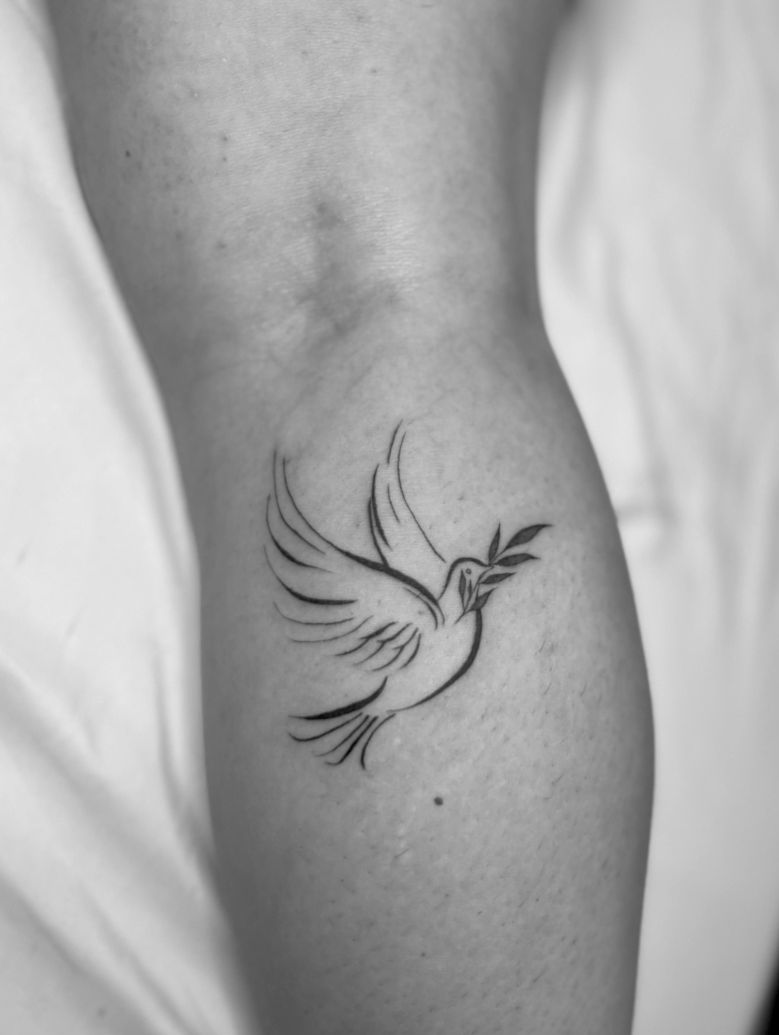 Pin by Jose Aviles on Catholic Printing | Spirit drawing, Spirit tattoo, Dove  tattoo
