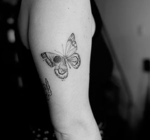 butterfly skull fineline detailed tattoo