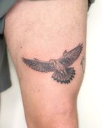 Hawk in flight tattoo