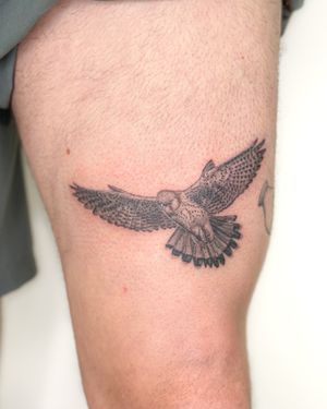 This black and gray illustrative tattoo features a stunning hawk design, meticulously crafted by the talented artist Bradley Mollett.
