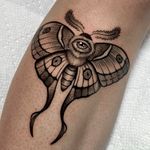 Single Eye Moth Tattoo