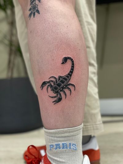 Traditional scorpion 