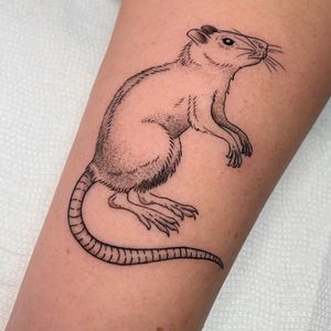 Unique tattoo design of a rat and mouse by talented artist Andrew Garinther. Perfect blend of realism and creativity.