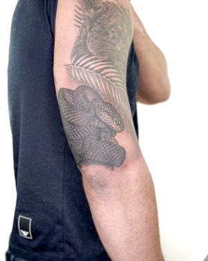 Exquisite black and gray snake tattoo by Bradley Mollett, capturing the essence of realism.