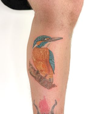Get a stunning realism tattoo of a bird in vibrant colors by the talented artist Bradley Mollett.