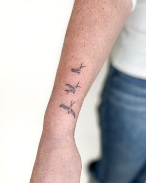 Get inked with a stunning micro_realism swallow bird tattoo by Bradley Mollett. Exquisite detail and illustrative style.