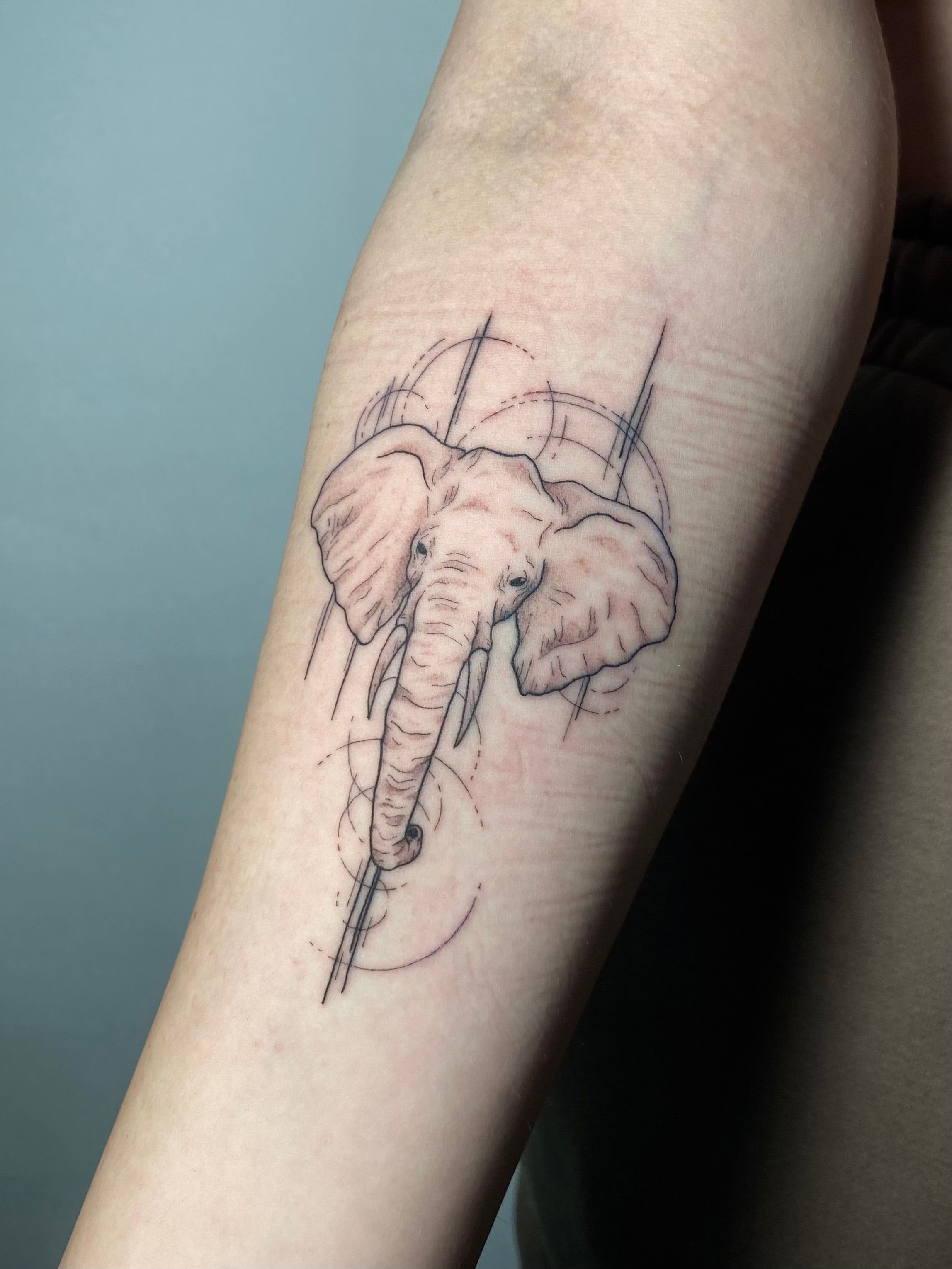 Photo - Elephants tattoo by Andrea Morales | Photo 27474 | Elephant tattoo,  Tattoos, Elephant tattoos