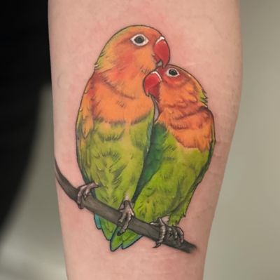 Lovebirds are very affectionate birds and are known to form strong bonds with their mates. ❤️ What an absolute pleasure having the opportunity to tattoo these two Love Birds for my customers’ first tattoo. What other birds should I tattoo? . . . #kwadron #bishoprotary #radiantcolorsink #uktta #birds #realism #colourrealism 