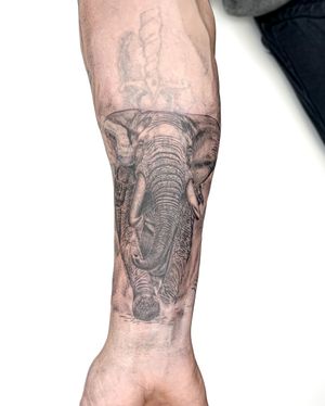 Experience the beauty of black and gray realism with this stunning illustrative elephant tattoo by talented artist Bradley Mollett.