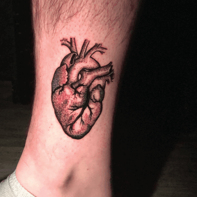 Dotwork Anatomical Heart