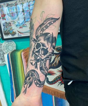 Traditional black and grey skull and snake blast over 
