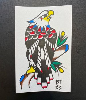 Traditional colour flash featuring an eagle on a branch 