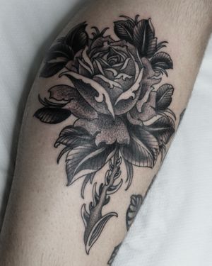Get a stunning rose tattoo done by the talented artist Lukey Wolf, featuring intricate blackwork design.