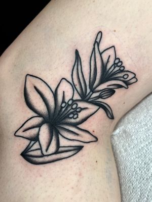 Get a timeless and vibrant traditional flower tattoo done by the talented Clara Colibri.