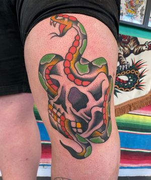 Traditional colour skull snake 