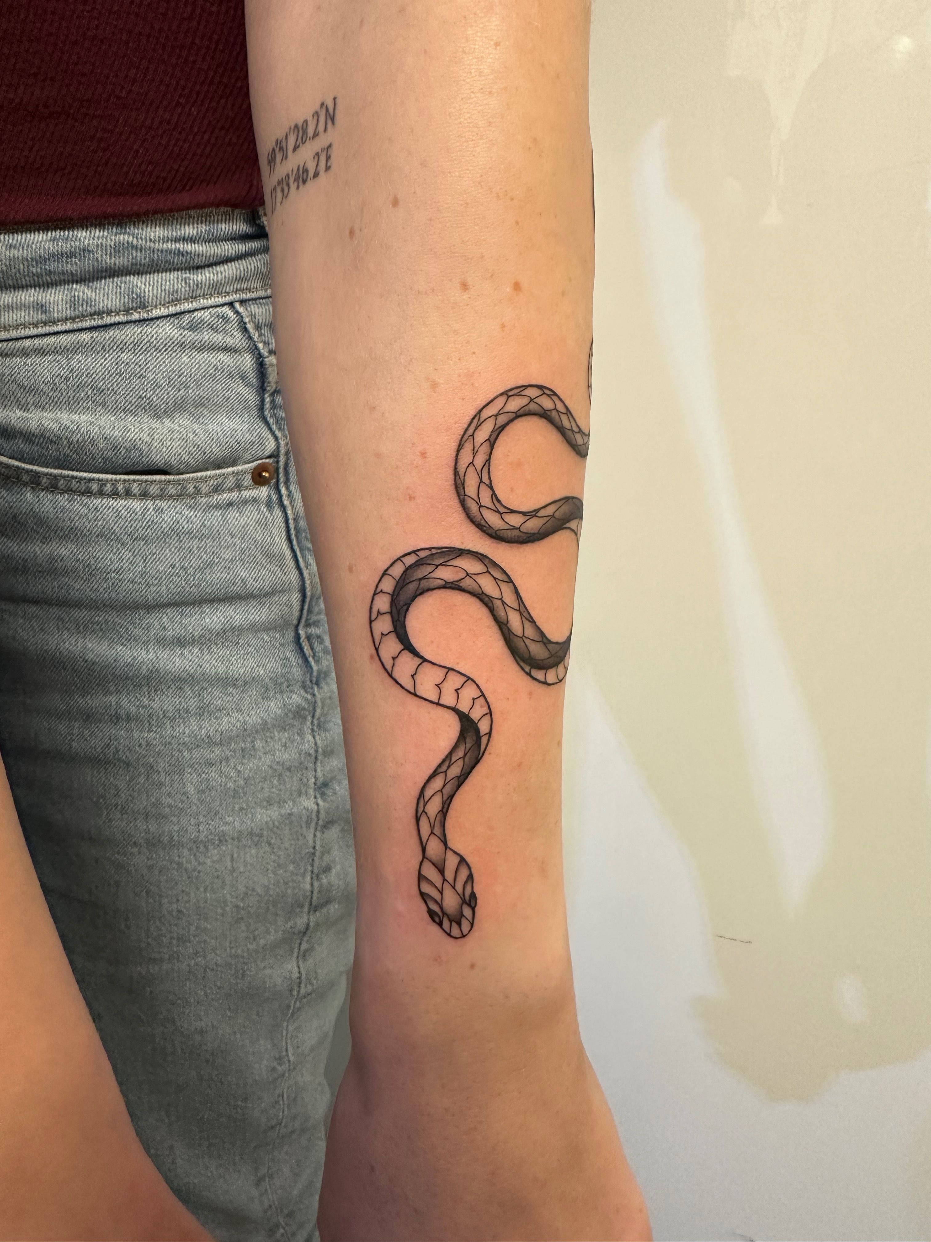 The Soma Snake [Black] by Jakenowicz Temporary Tattoo - Set of 3 – Tatteco
