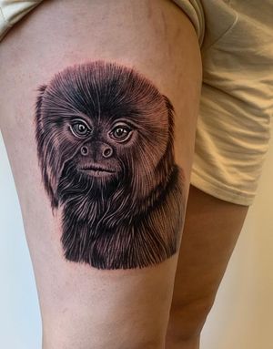 Realistic Monkey Tattoo