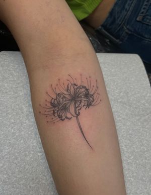 Get a stunning illustrative spider lily tattoo by Julia Bertholdi, perfect for those who love floral designs with a touch of mystery. Stand out with this unique and beautiful piece of art.