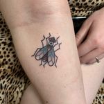 Get a classic traditional tattoo of a fly done by the talented artist Laurel. Perfect for anyone looking for a unique design.