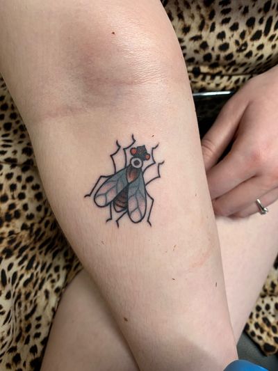 Get a classic traditional tattoo of a fly done by the talented artist Laurel. Perfect for anyone looking for a unique design.