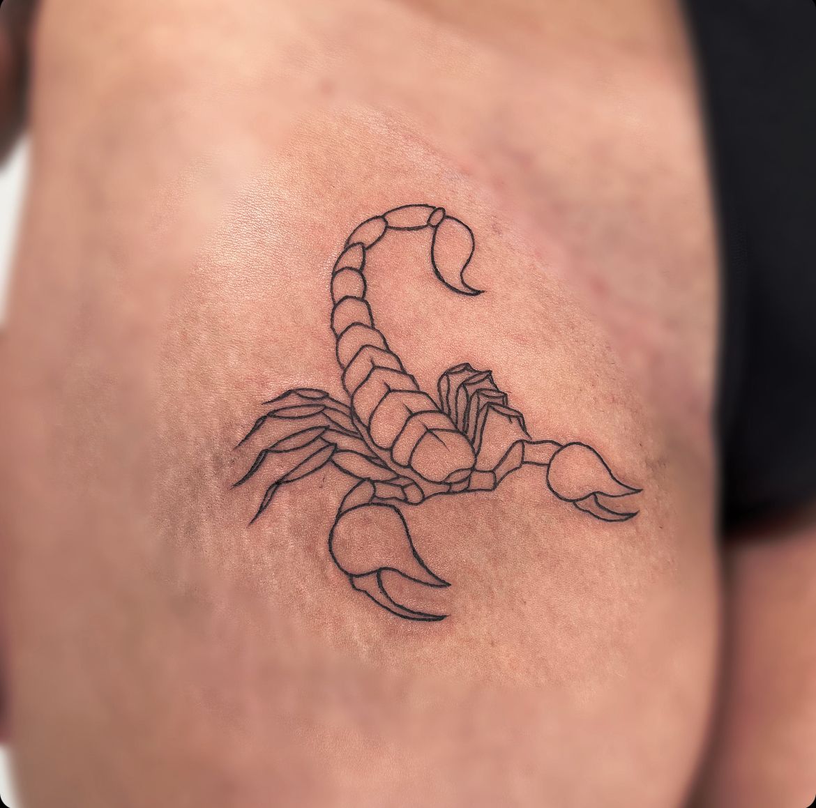 Fine line scorpion tattoo on the pelvis.