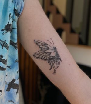 Capture the essence of metamorphosis with this stunning illustrative butterfly tattoo by the talented artist Julia Bertholdi.