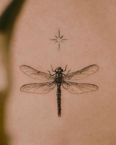 Microrealistic fine-line dragonfly