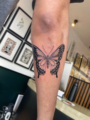 Admire the intricate illustrative details of this stunning butterfly tattoo by the talented artist Julia Bertholdi. Perfect for nature lovers!