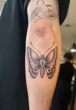 Detailed traditional tattoo design of a butterfly and moth by Julia Bertholdi, featuring intricate linework and vibrant colors.
