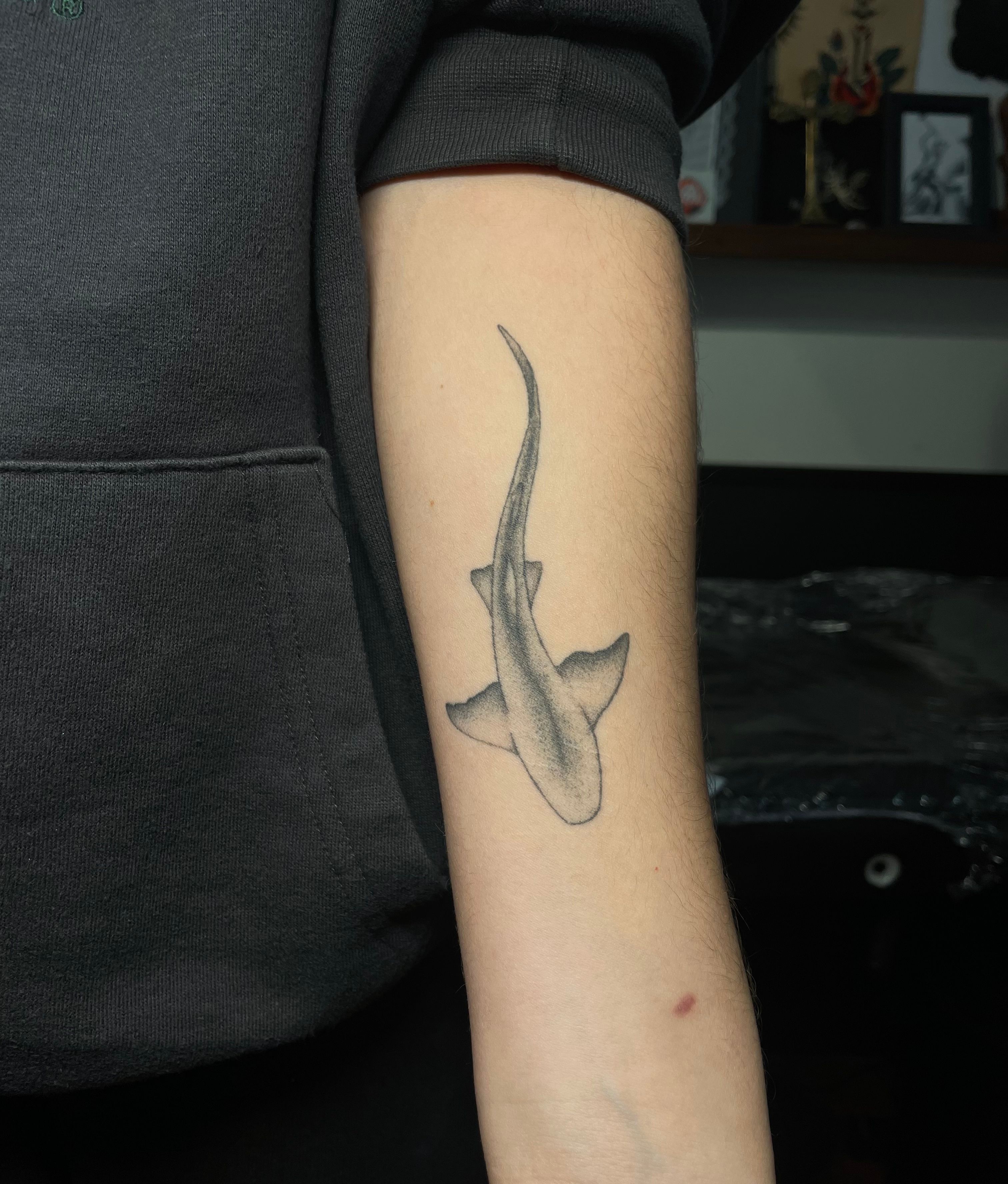 19 Shark Tattoo Ideas To Inspire Your Next Ink • Wild Hearted