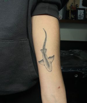 Get inked by Julia Bertholdi with a beautiful and detailed illustrative shark design, perfect for any ocean lover.
