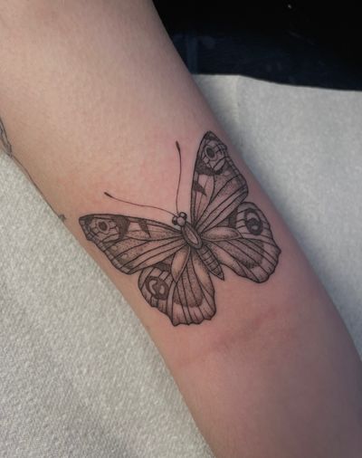 Elegant butterfly design in dotwork and illustrative style by Julia Bertholdi. Perfect for a unique and stunning tattoo.