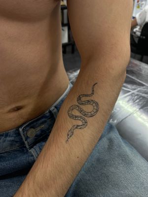Experience the fine line detailing and artistry of Julia Bertholdi with this stunning snake tattoo design.