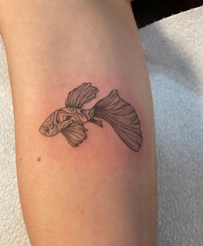 Experience the beauty of a detailed illustrative beta fish tattoo by talented artist Julia Bertholdi. A stunning addition to your collection!