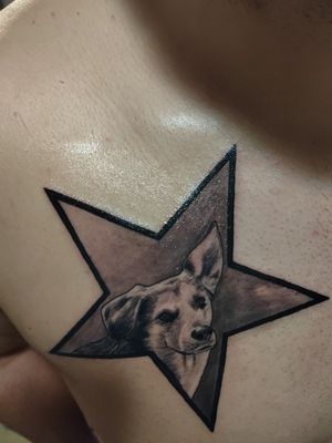 #dog #star #astra #puppy #tattoo