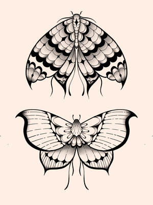 moths / butterflies