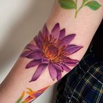 Realistic waterlily 
