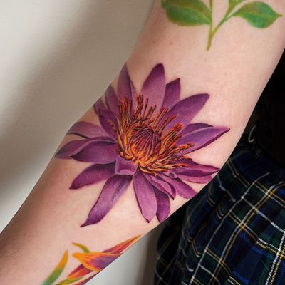Realistic waterlily 