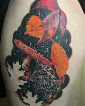 Owl with mushroom and leaves color tattoo