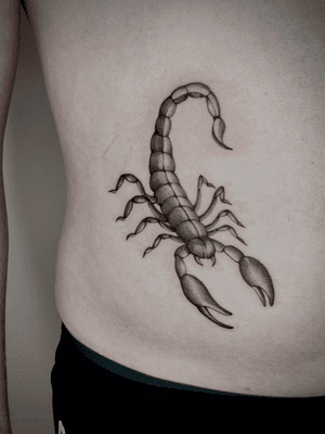 Scorpion from my Flash