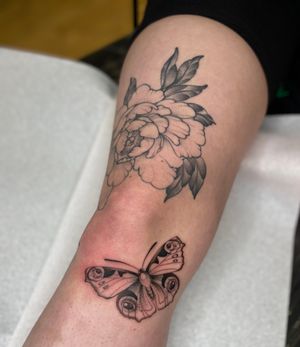 Healed peony, with fresh butterfly 🦋 