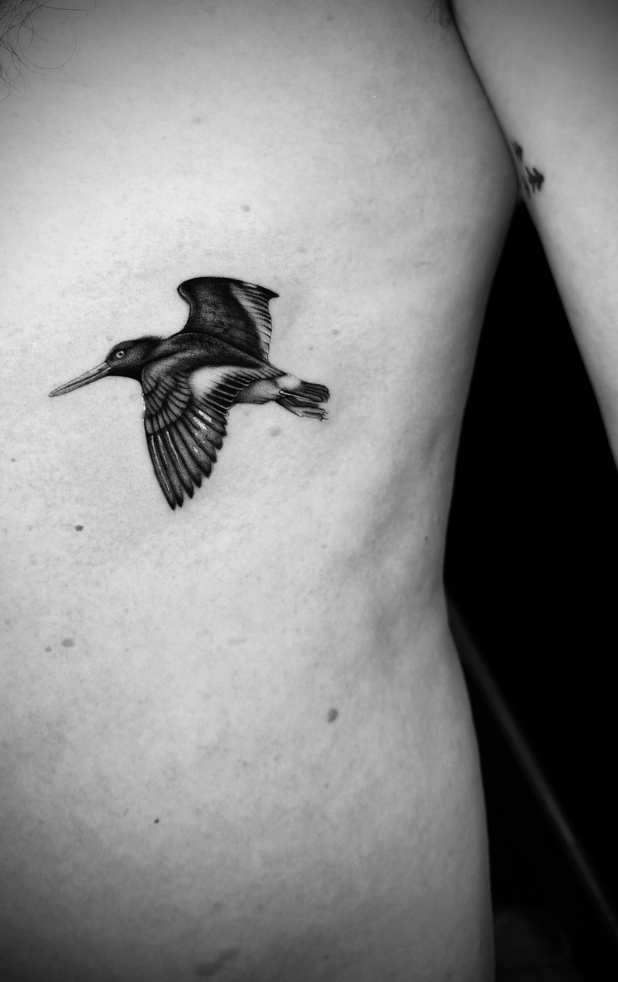 20+ Hummingbird Tattoo Designs and Powerful Meanings | by Jennifer | Medium