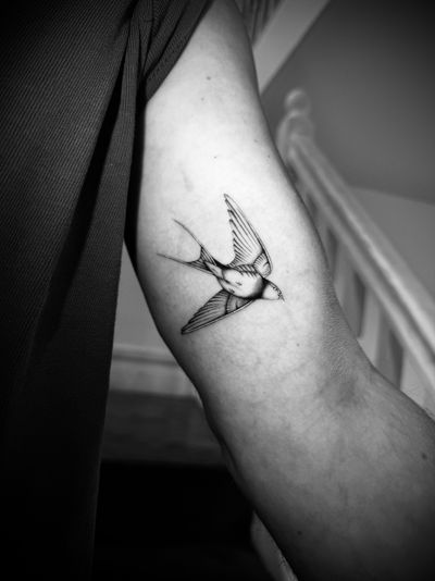 Beautiful illustrative swallow tattoo created by Georgina, capturing the essence of elegance and freedom.
