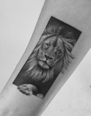 Get a stunning black and gray realism lion tattoo by the talented artist Saka Tattoo. Show off your strength and courage with this majestic piece.