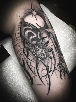 Spider Tattoo 