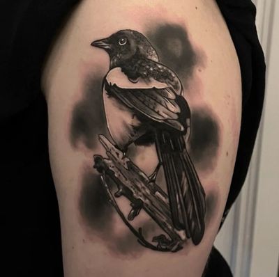 Stunning black and gray realism tattoo of a magpie by Craig Hicks. Expertly detailed and beautifully executed.