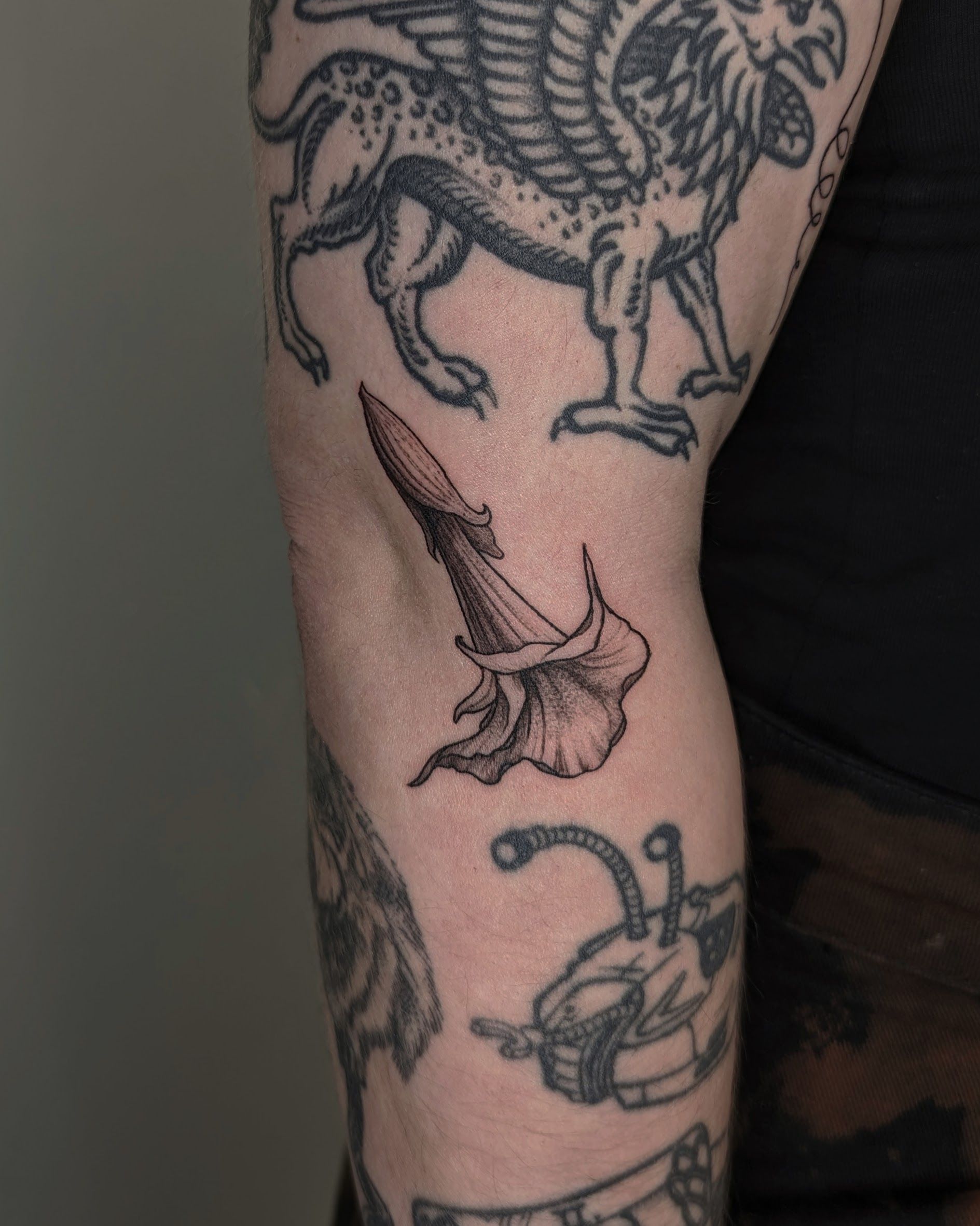 Datura Flower Tattoo • Tattoodo