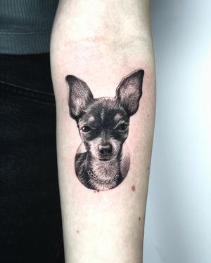 Micro realistic portrait of favourite pet by our resident @cat_vaska116 
Vas’s favourite style! Get in touch to book yourself in! 
Books/info in our Bio: @southgatetattoo 
•
•
•
#microrealism #microrealistictattoo #dogtattoo #pettattoo #portraittattoo #southgatetattoo #enfield #londontattoo #southgate #london #southgatepiercing #sgtattoo #londonink #northlondontattoo #londontattoostudio #northlondon #southgateink #amazingink 