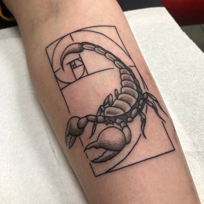 Stunning black and gray design by Liam Harbison featuring a scorpion motif and golden ratio elements. Perfect for those who appreciate intricate, illustrative tattoos.