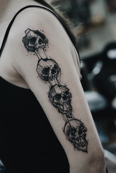 Skulls’ phases